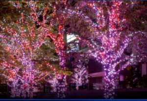 ウエルカムイルミネーション