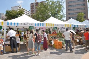 img_e69f6286bc65dc1bba90b6cae46763d0373118